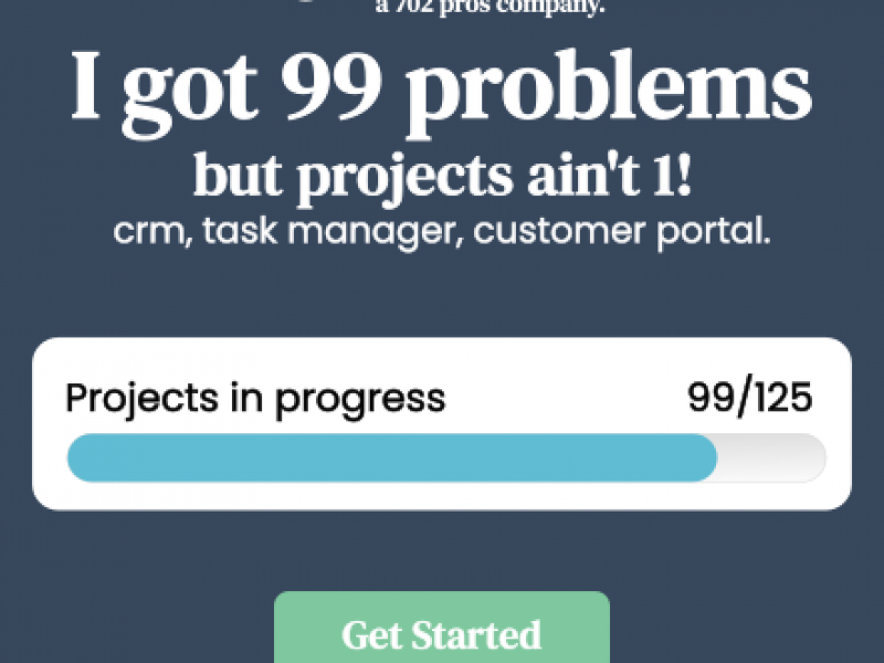 project-management-99-problems-but-projects-aint-1-pulsenest